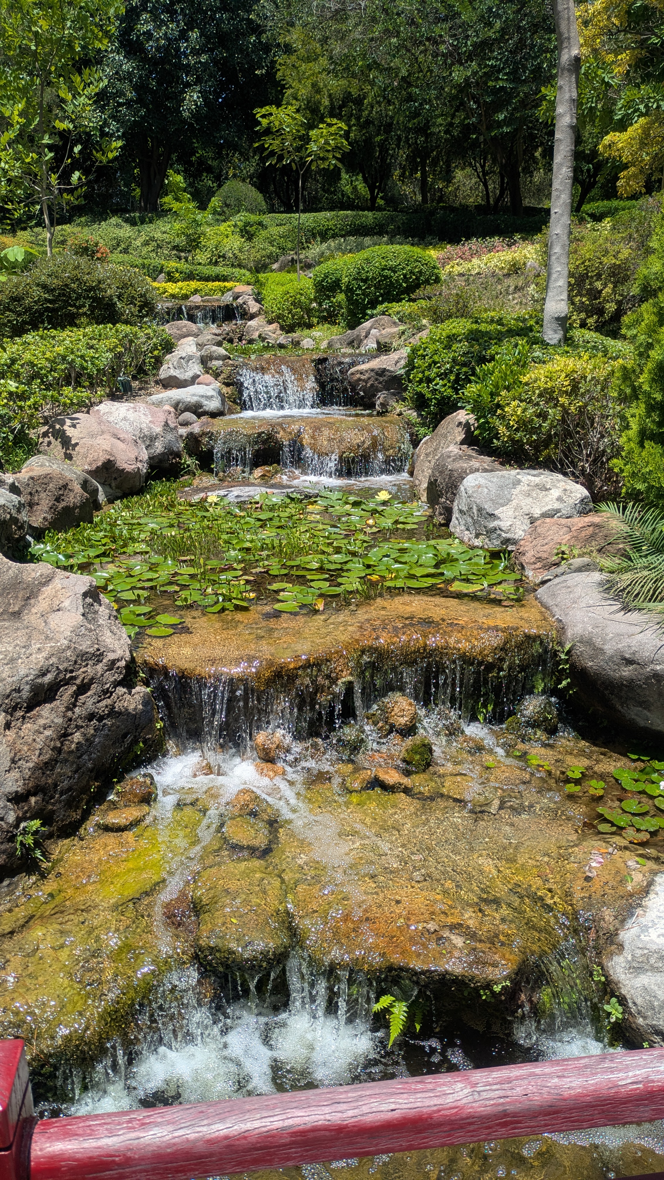 Jardines de mexico